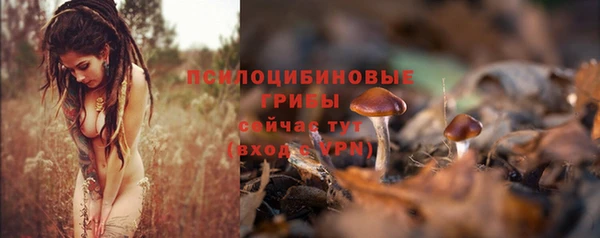 скорость Карталы
