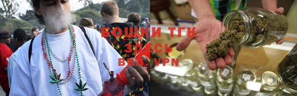 PSILOCYBIN Киренск