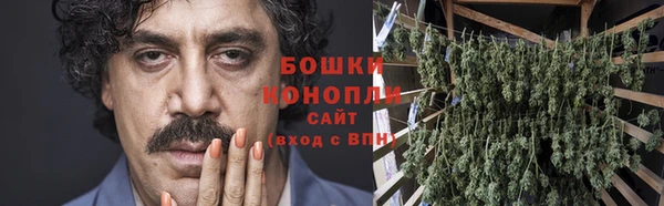 PSILOCYBIN Киренск